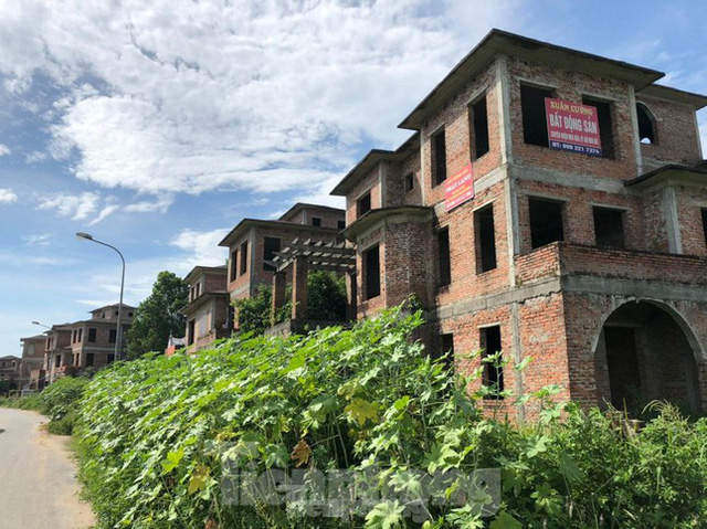 Điểm mặt các khu biệt thự triệu đô bỏ hoang ở Hà Nội trước đề xuất đánh thuế  - Ảnh 5.