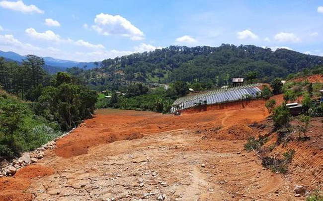 Lâm Đồng thu hồi 286ha đất tại dự án của Công ty Hàn Việt